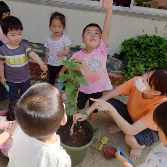 年少幼児（こぶた・こぐま組）の1日